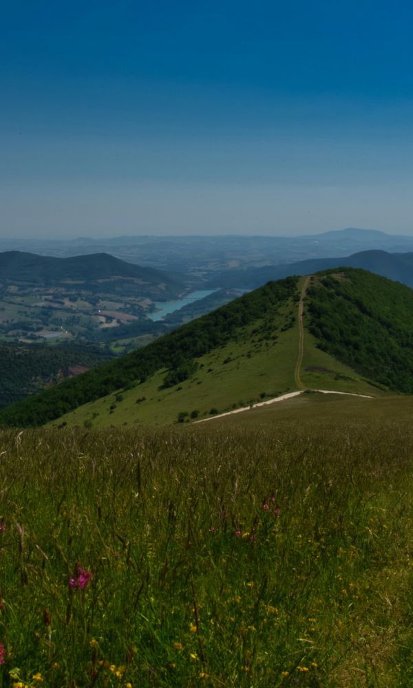Scopri le Marche